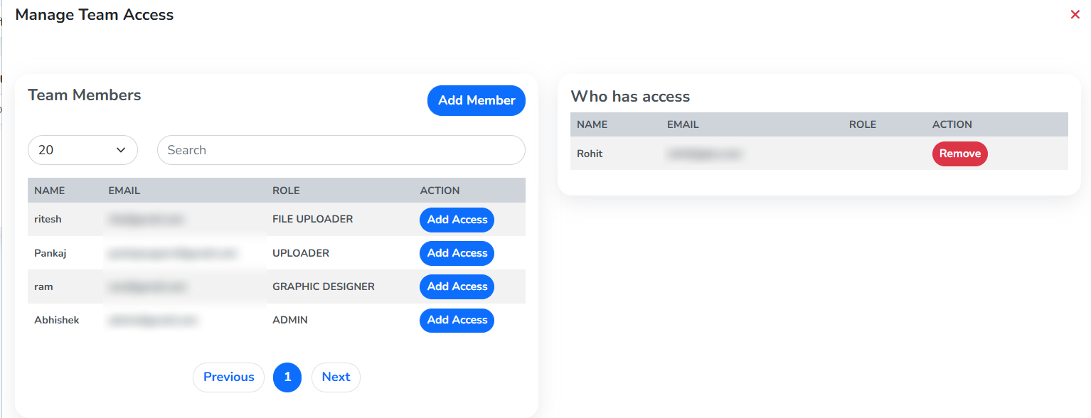 Manage Team Access after Add Access, with the member listed under Who has access and a Remove button on their row