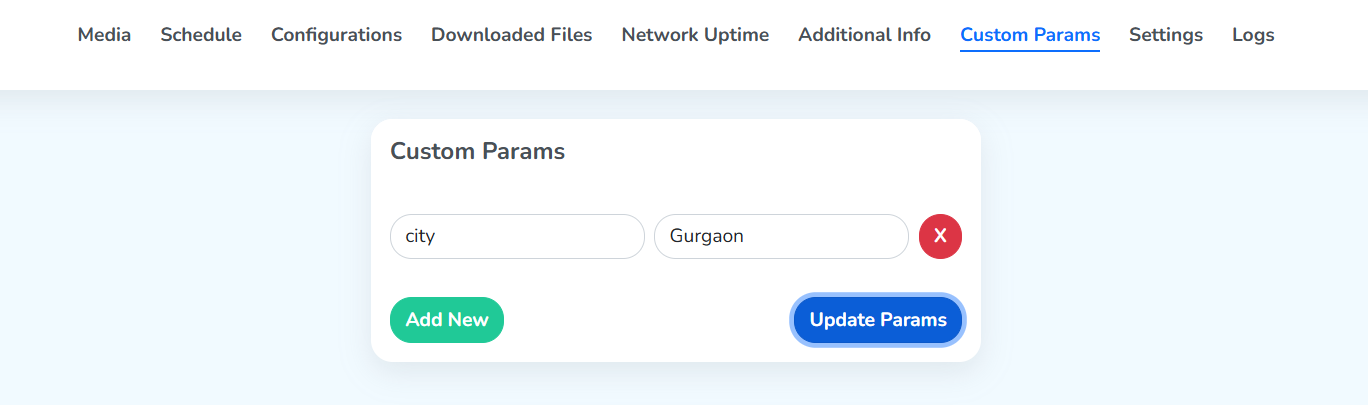 The Custom Params tab open on a screen, underlined among the nine tabs, with a card holding one key and value row, a red X beside it, and the Add New and Update Params buttons