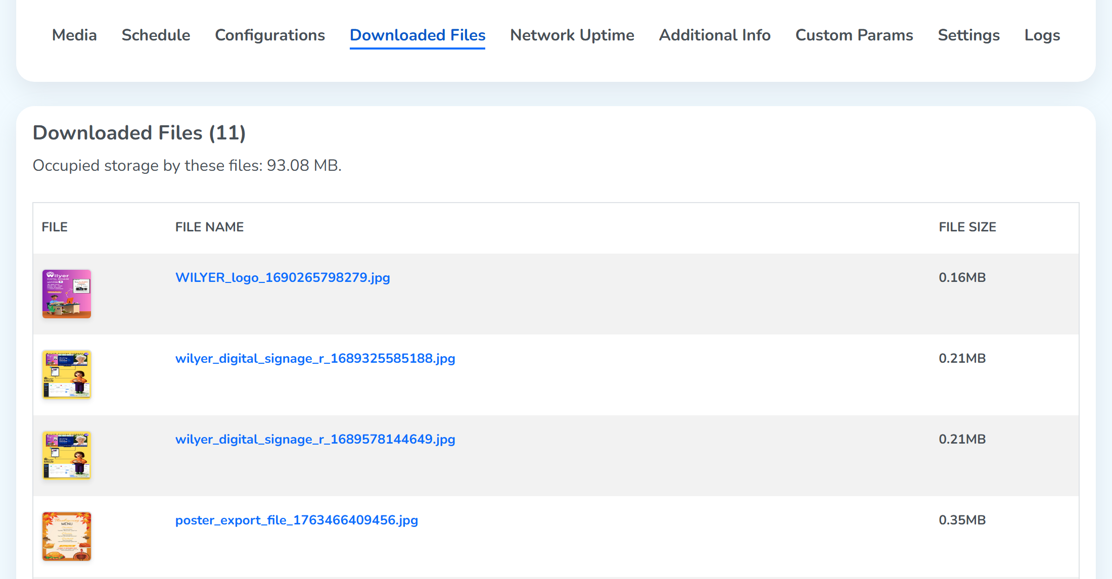 The Downloaded Files tab open on a screen, underlined among the nine tabs, with the file count and the occupied storage above the table, each row carrying a thumbnail, the file name and its size