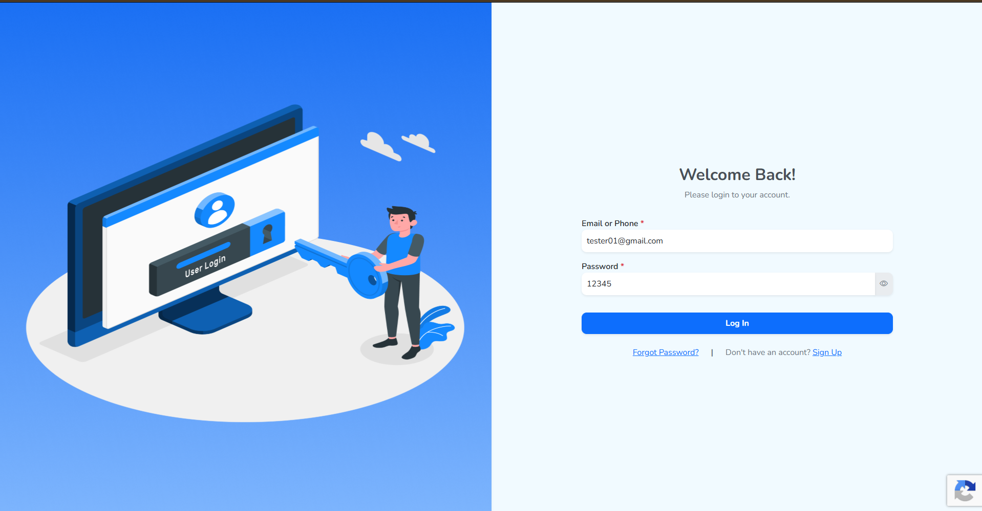 The login page, with the new user's email and password entered
